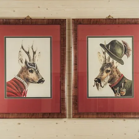 דירה Mountainspirit מאיירהופן