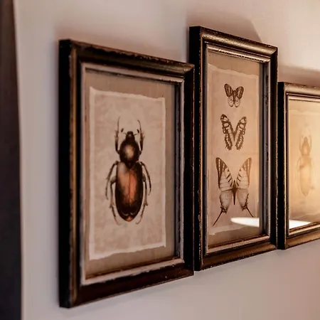 Mountainspirit Apartmán *