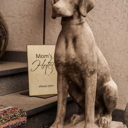 Mountainspirit Mayrhofen